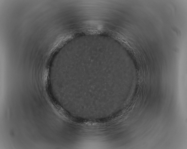 X0000115120742200911101626