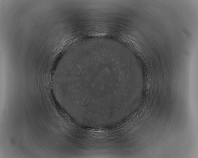 X0000115120743200911101626