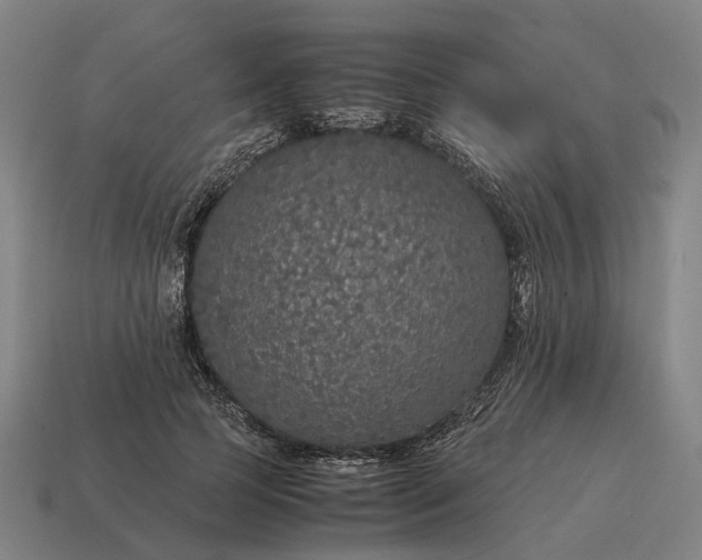 X0000115120745200911101626