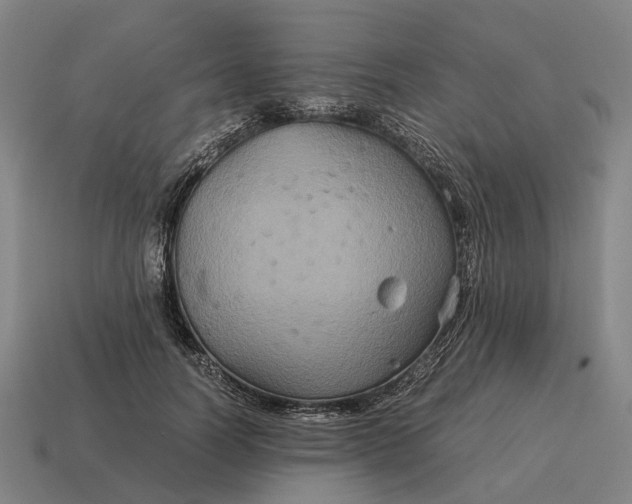 X0000115120746200911101626