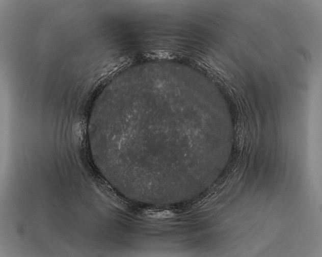 X0000115120747200911101626