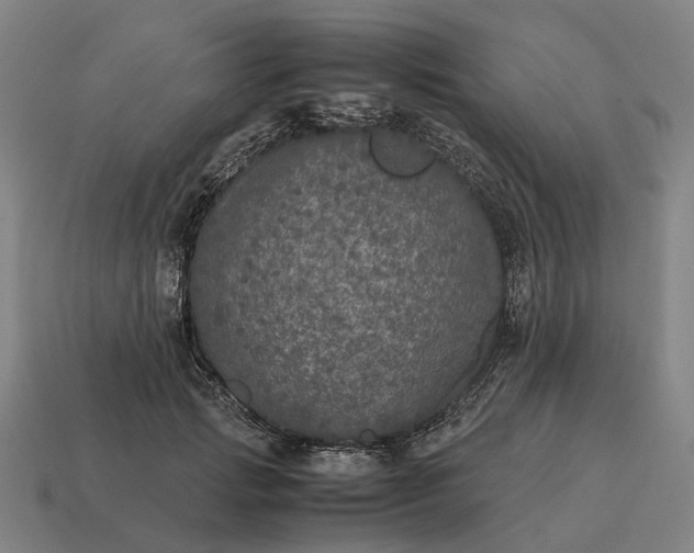 X0000115120749200911101626