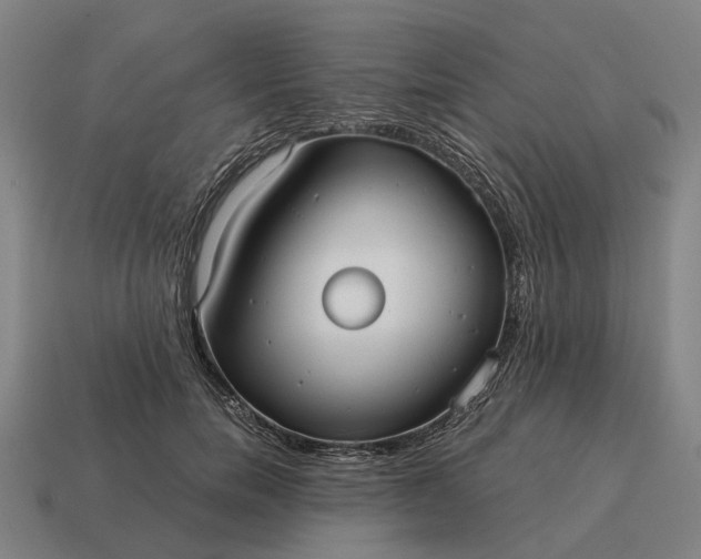 X0000115120750200911101626