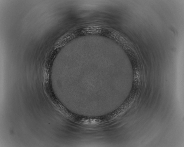 X0000115120751200911101626