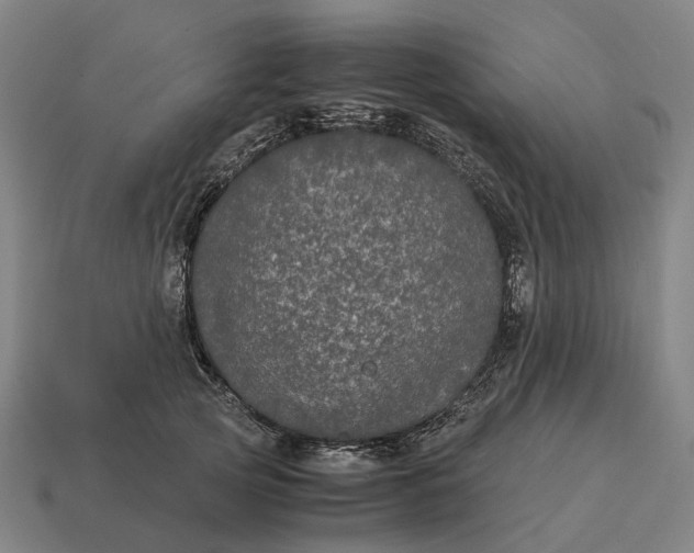 X0000115120753200911101626