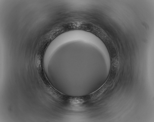 X0000115120754200911101626