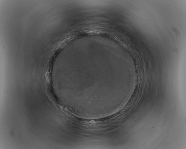 X0000115120755200911101626