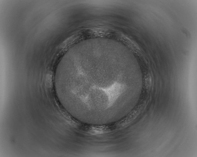 X0000115120757200911101626