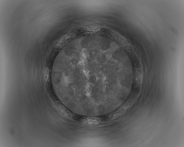 X0000115120758200911101626