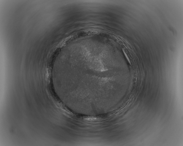 X0000115120759200911101626