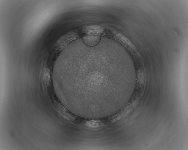X0000115120761200911101626