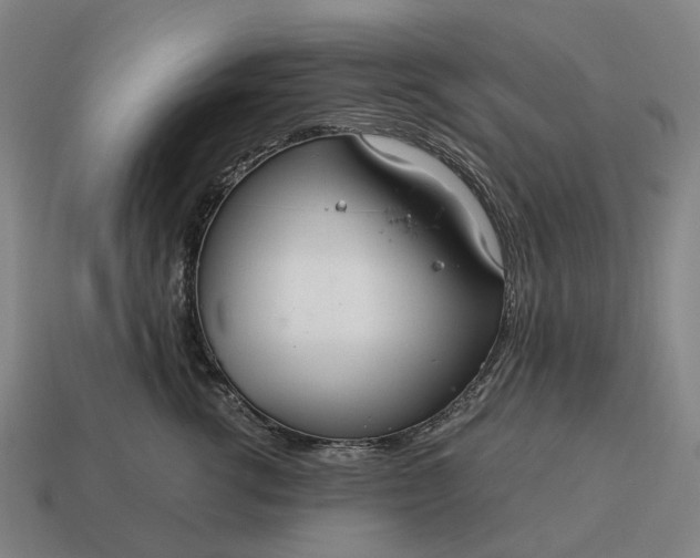 X0000115120762200911101626
