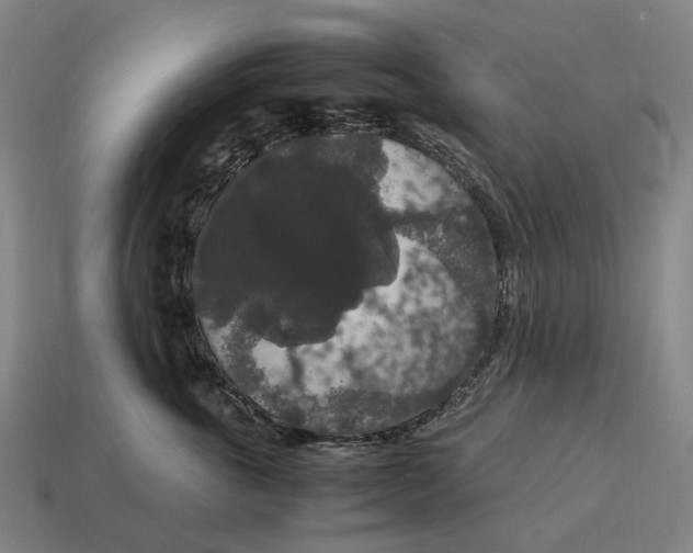 X0000115120763200911101626