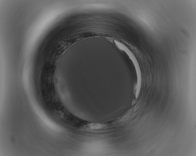 X0000115120766200911101626