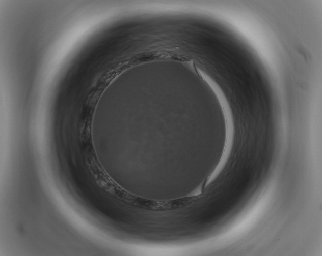 X0000115120767200911101626