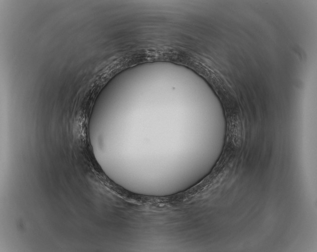 X0000115120770200911101626