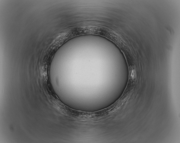 X0000115120771200911101626