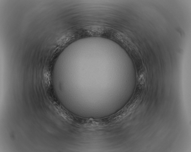 X0000115120772200911101626