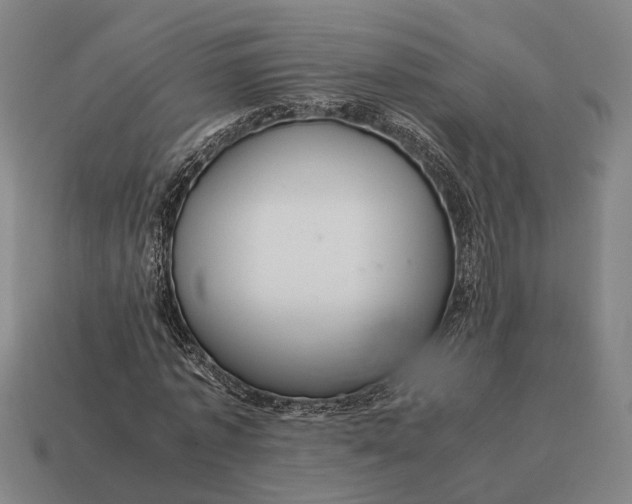 X0000115120773200911101626