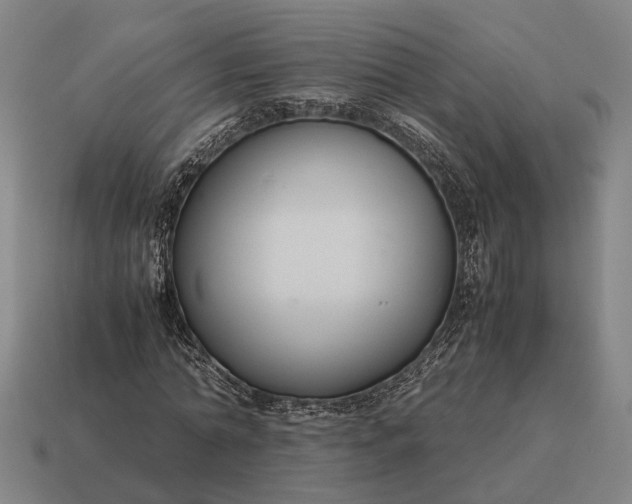 X0000115120774200911101626