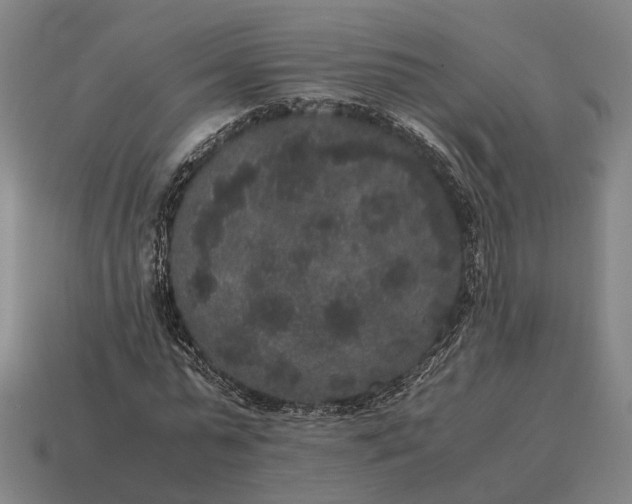 X0000115120775200911101626