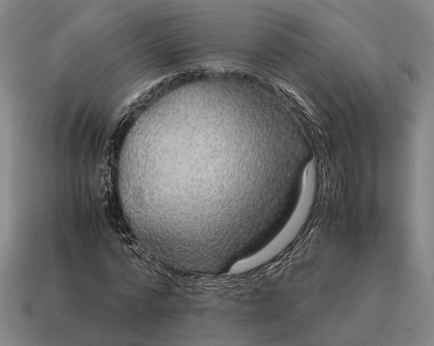 X0000115120776200911101626