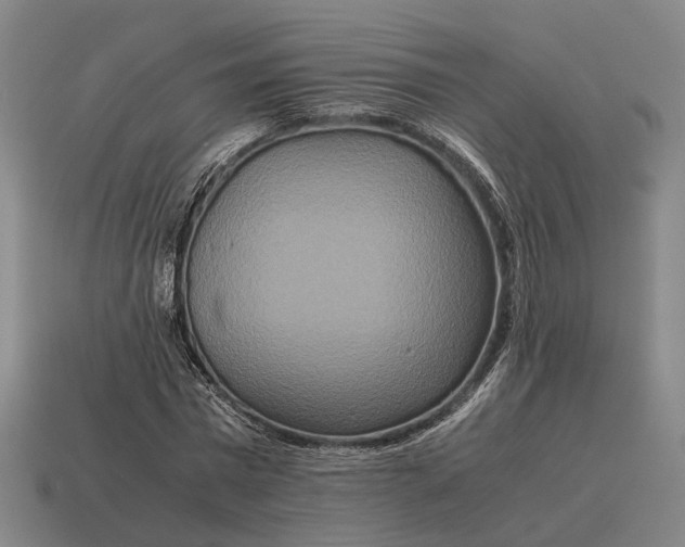 X0000115120777200911101626
