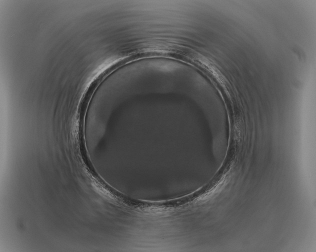 X0000115120779200911101625