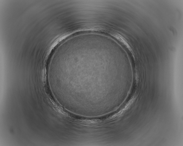X0000115120781200911101625