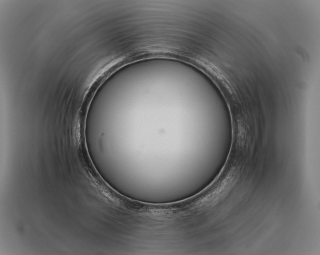 X0000115120782200911101625