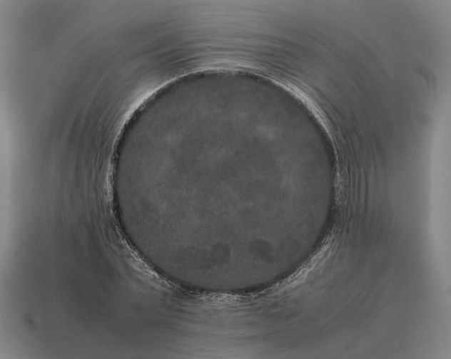 X0000115120783200911101625