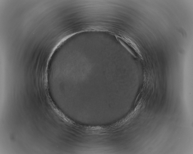 X0000115120784200911101625