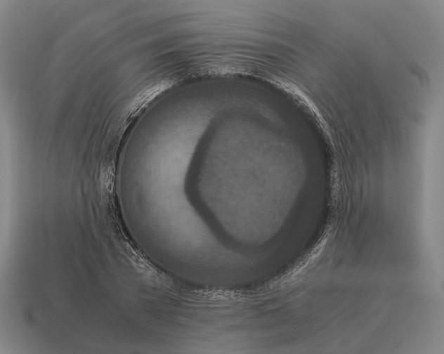 X0000115120785200911101625