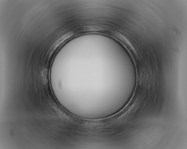 X0000115120786200911101625