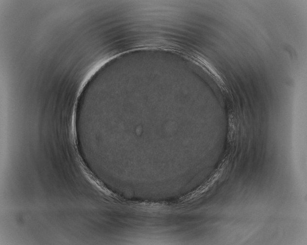 X0000115120788200911101625