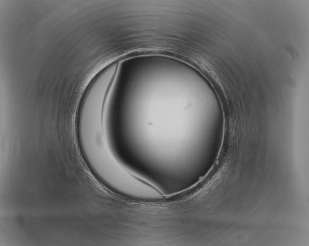 X0000115120789200911101625