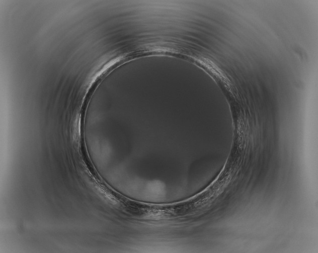 X0000115120790200911101625