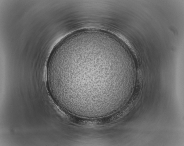 X0000115120791200911101625