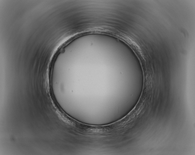 X0000115120792200911101625