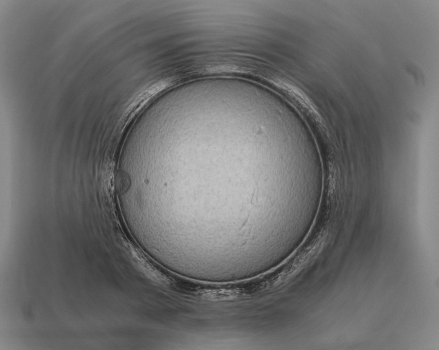 X0000115120793200911101625