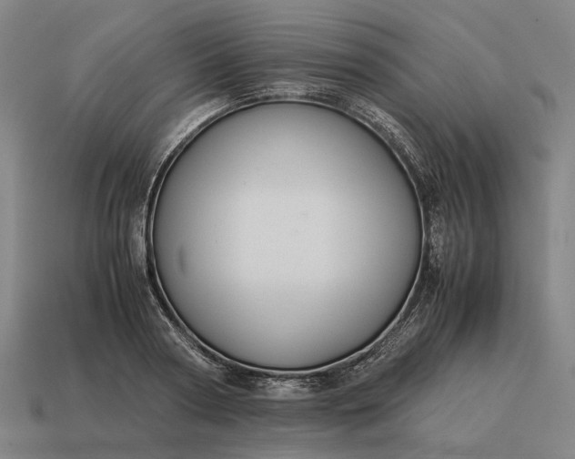 X0000115120794200911101625