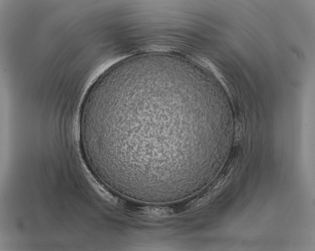 X0000115120795200911101625