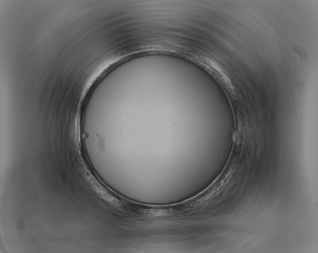 X0000115120796200911101625