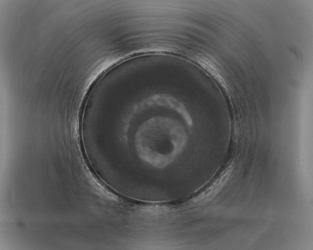 X0000115120797200911101625