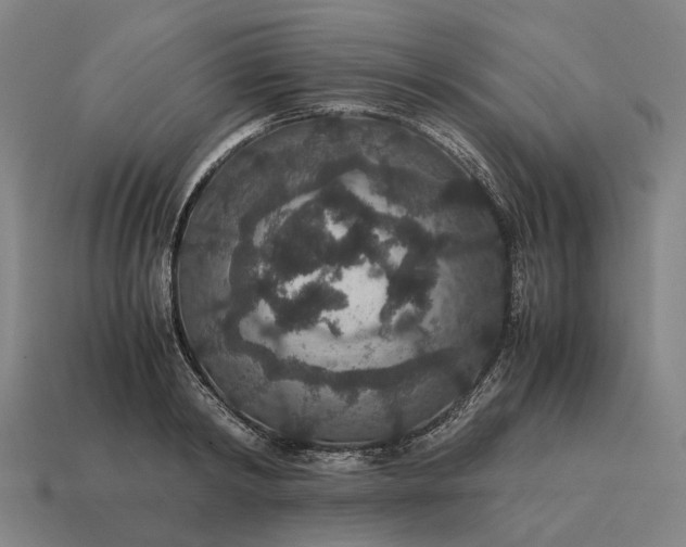 X0000115120798200911101625