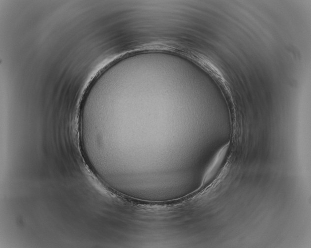 X0000115120800200911101625