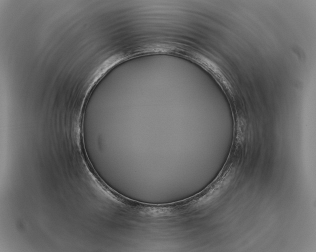 X0000115120802200911101625