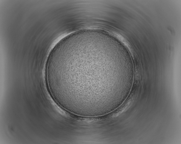 X0000115120803200911101625