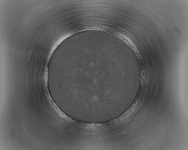 X0000115120804200911101625