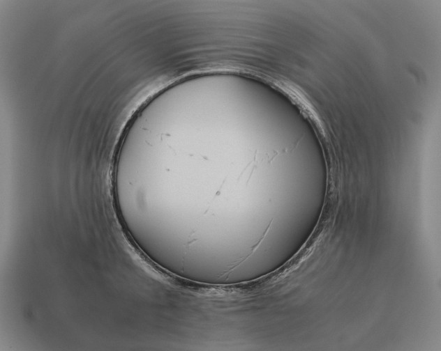 X0000115120805200911101625